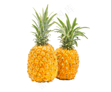 黄色简约风菠萝凤梨免抠元素 