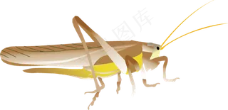卡通手绘蚂蚱动物图片png素材