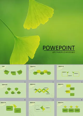 银杏叶ppt背景图片下载