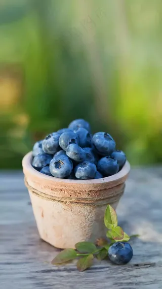 蓝莓高清摄影图片