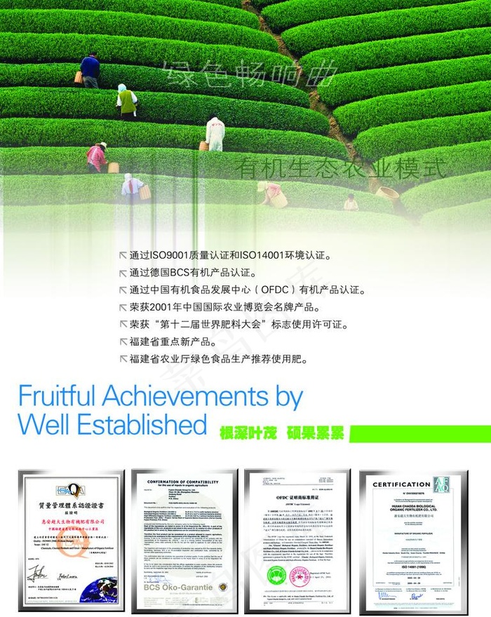 企业荣誉宣传图片(1701X2268(DPI:72))psd模版下载