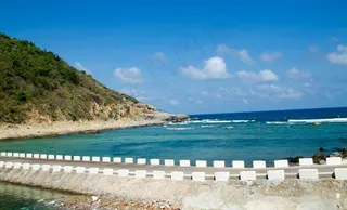 大海 热带植物 三亚图片