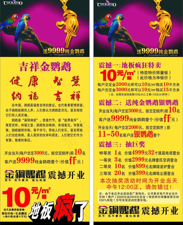 金钢鹦鹉X展架
