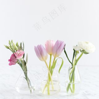 简约小清新文艺风插花静物摆拍背景