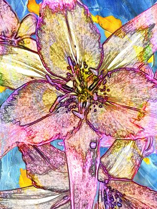 唯美色调的花草装饰图案高清图片素材