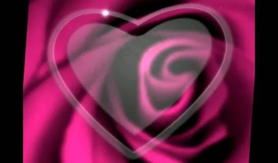 婚礼视频素材图片 婚礼视频素材图片