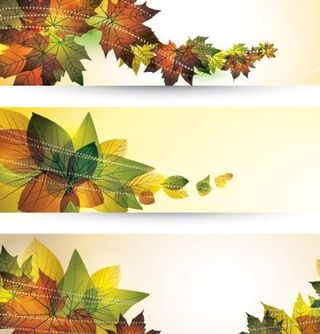 树叶边框设计banner背景矢量素...