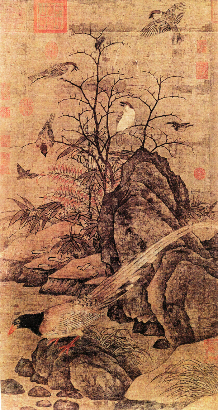 树木植物与动物图片