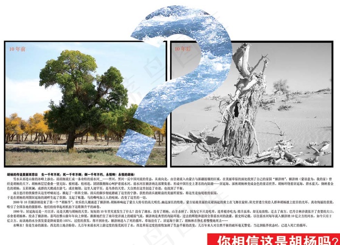 环境保护生态画册cdr矢量模版下载
