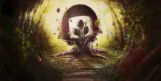 森林美丽风景图片