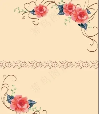 fz209 牡丹花图片