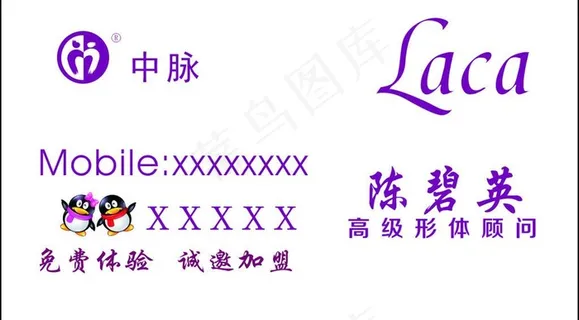 中脉图片
