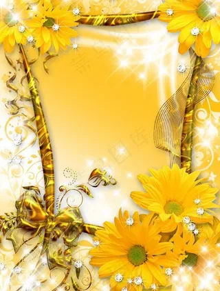 菊花画册相框图片