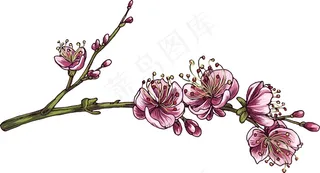 矢量发展分公司