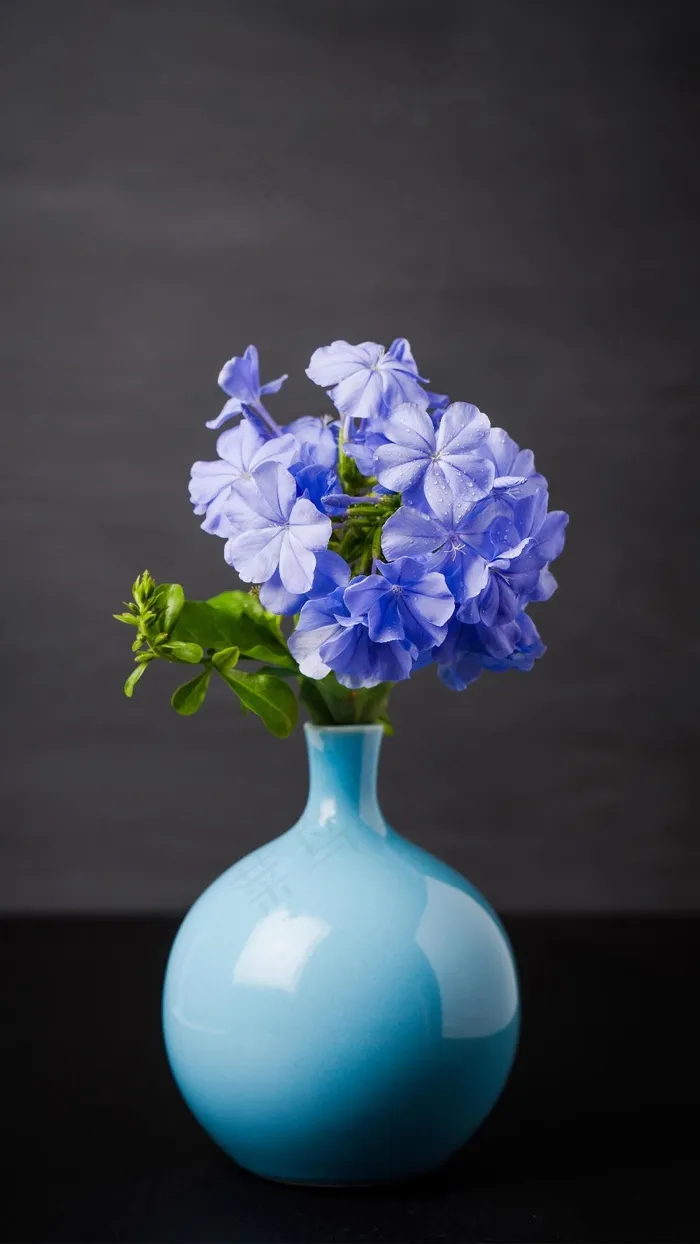 美丽的花瓶鲜花高清摄影图片