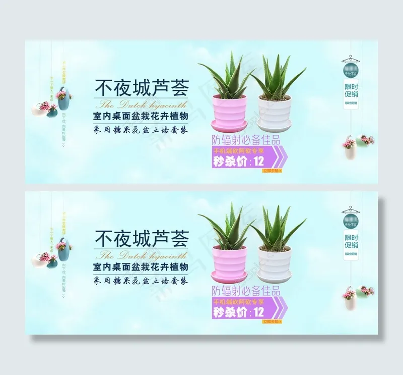 天猫设计绿色植物芦荟促销psd模版下载