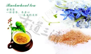 苦荞茶春天的关怀