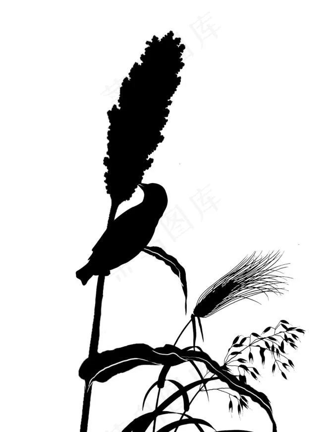 高粱插画酒品包装psd模版下载
