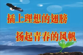 插上理想的翅膀