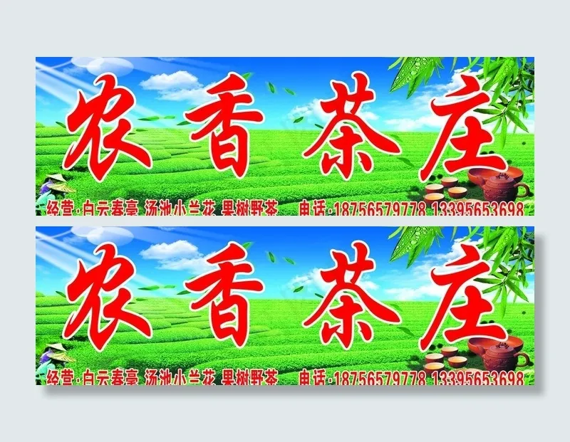 茶园风光图片