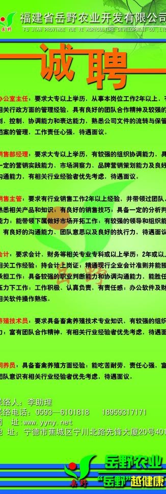 招聘模板图片psd模版下载