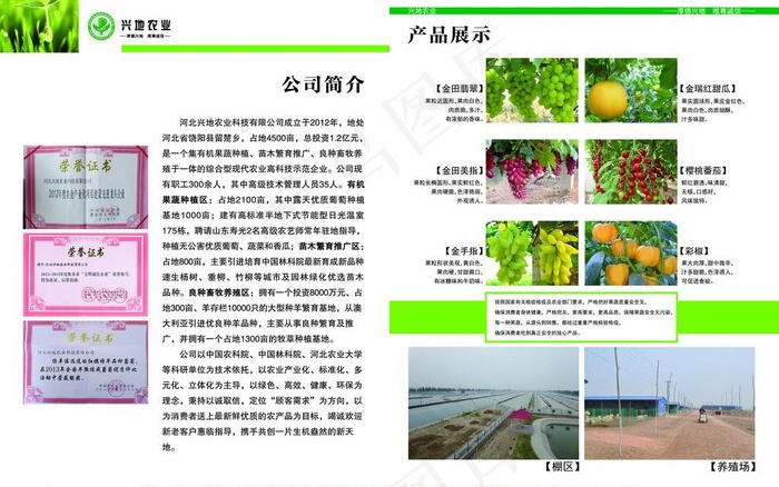 农业折页图片(5032X3437(DPI:300))psd模版下载