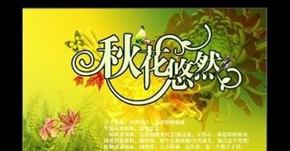 秋花悠然秋季海报 下载