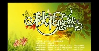 秋花悠然秋季海报 下载