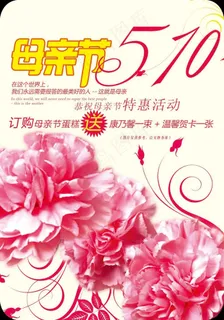 母亲节特惠活动海报下载