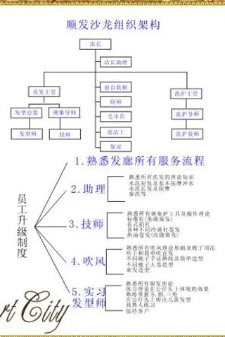 发廊升级制度图片