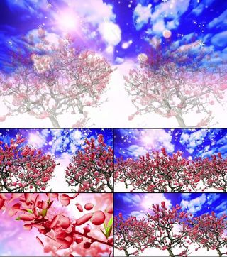 梅花仙境世外桃源唯美视频