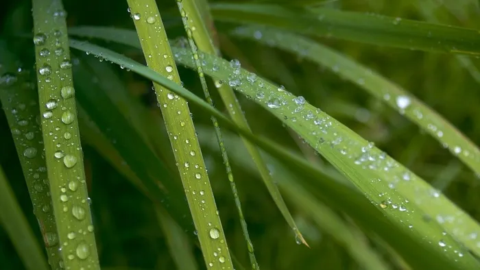 草绿时刻