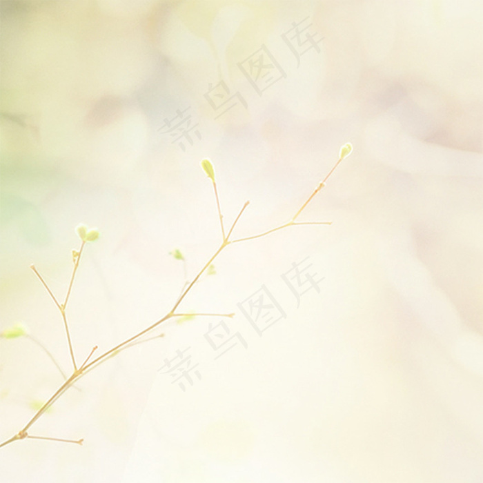 小清新背景主图psd模版下载