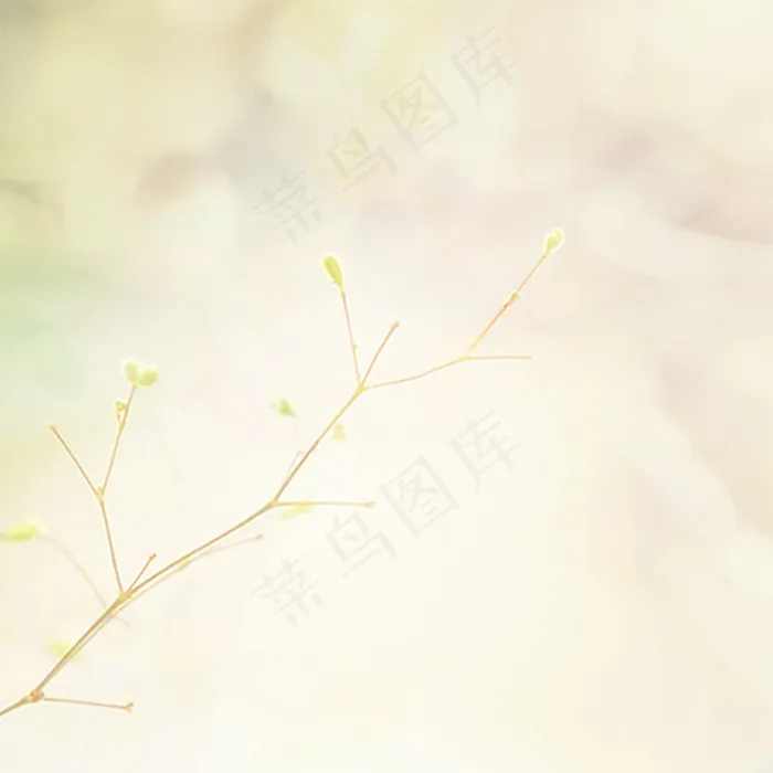 小清新背景主图psd模版下载