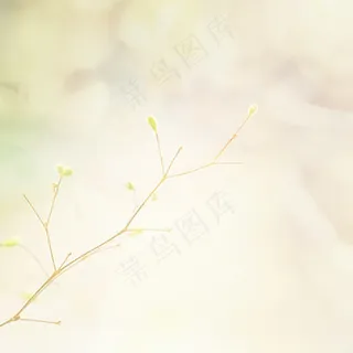 小清新背景主图