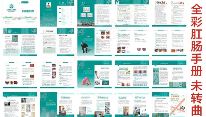 肛肠手册图片cdr矢量模版下载