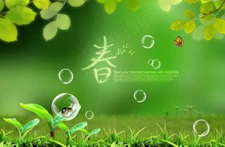 草地上的嫩芽和泡泡