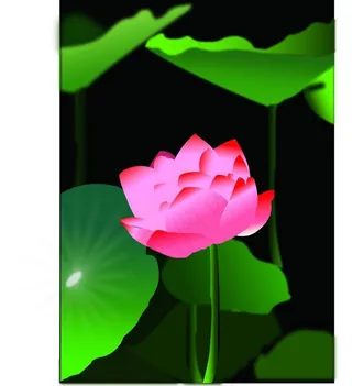 荷花矢量图图片