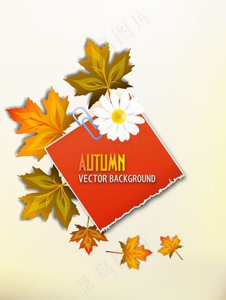 用破纸板向量的叶子