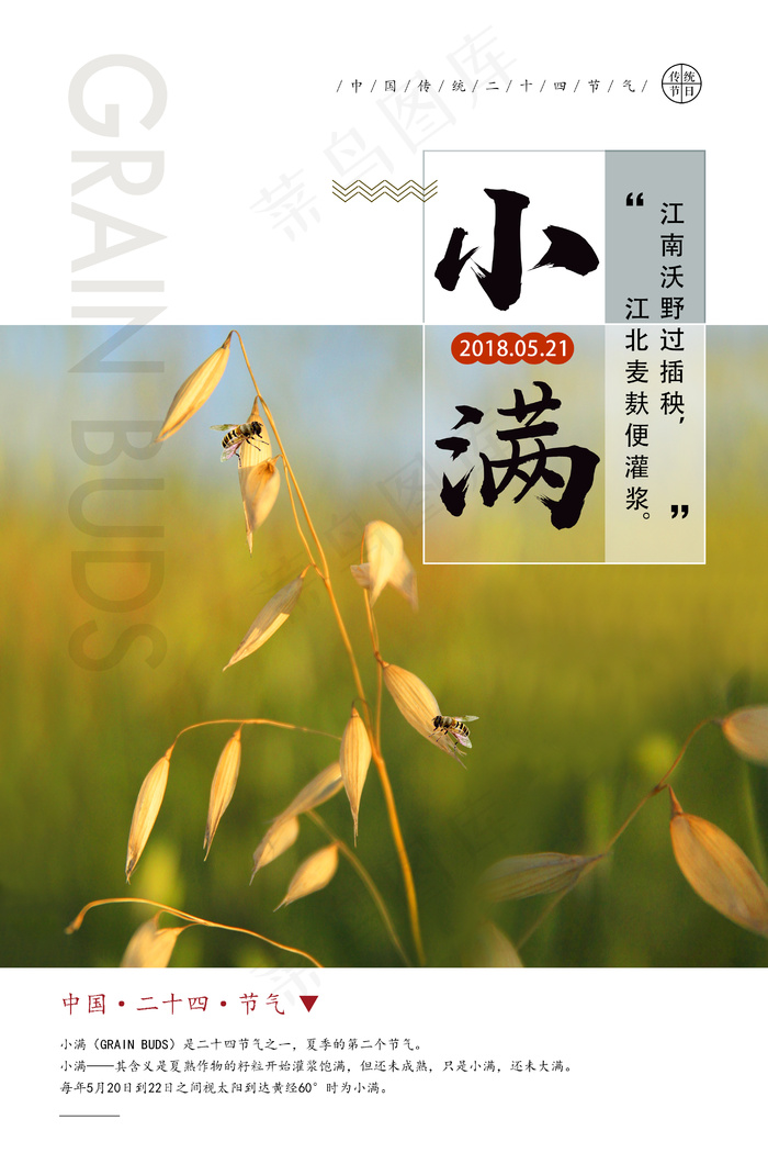 2018二十四节气小满夏日小清新海...