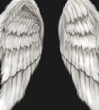 超酷翅膀PSD分层素材