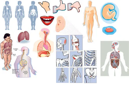 医疗类矢量图标