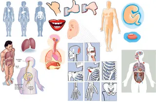 医疗类矢量图标
