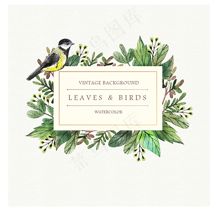 手绘自然花鸟标签背景图片