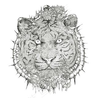 位图 插画 时尚插画 插画师 AI...