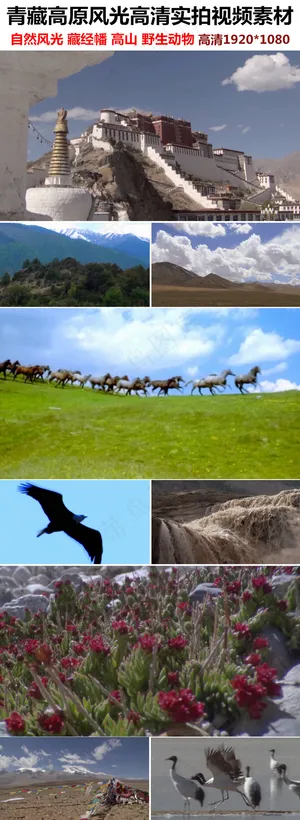 高山湖泊青藏高原实拍视频素材自然风... 高山湖泊青藏高原实拍视频素材自然风...