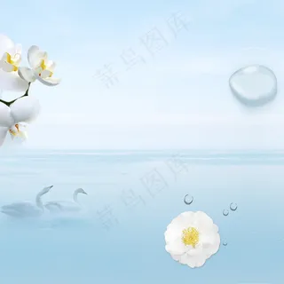 化妆品草本洁面乳主图