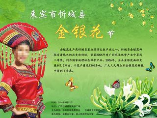 来宾市忻城县金银花节宣传海报psd源文件