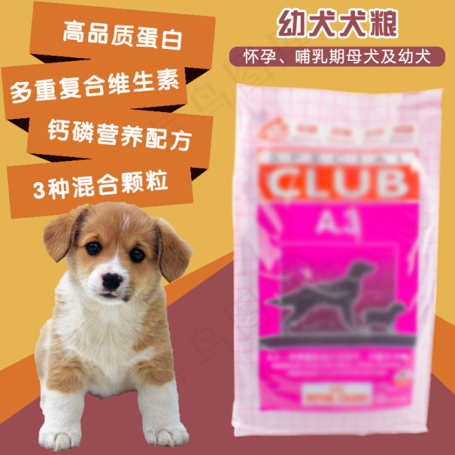 宠物犬粮 零食主图psd模版下载