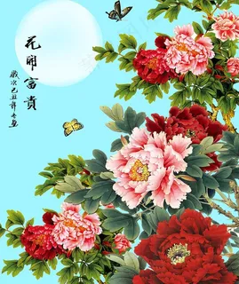 牡丹图片 牡丹图片